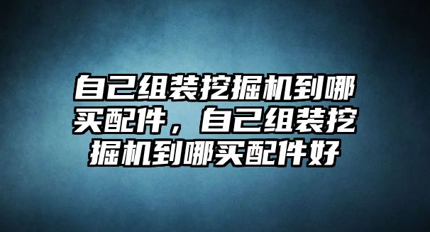 自己組裝挖掘機到哪買配件，自己組裝挖掘機到哪買配件好