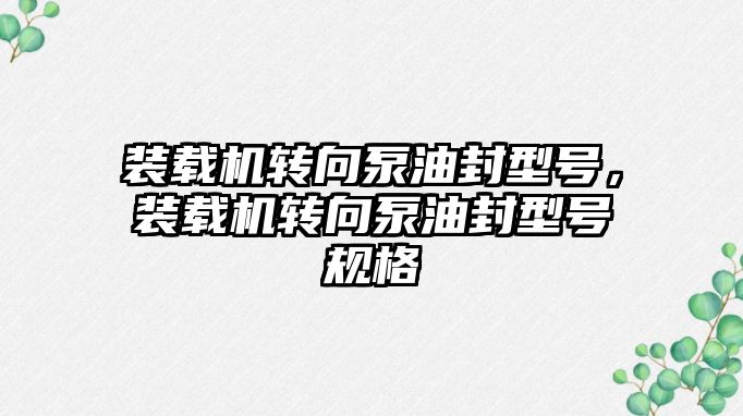 裝載機轉向泵油封型號，裝載機轉向泵油封型號規格