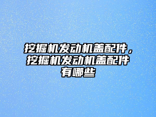 挖掘機發(fā)動機蓋配件，挖掘機發(fā)動機蓋配件有哪些