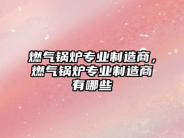 燃?xì)忮仩t專業(yè)制造商，燃?xì)忮仩t專業(yè)制造商有哪些