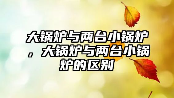 大鍋爐與兩臺小鍋爐，大鍋爐與兩臺小鍋爐的區(qū)別