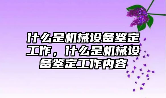 什么是機械設備鑒定工作，什么是機械設備鑒定工作內容