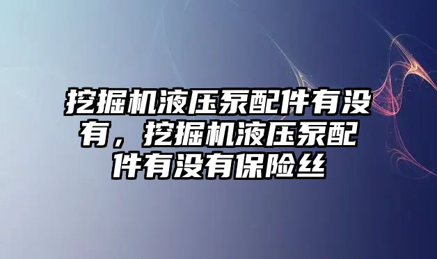 挖掘機液壓泵配件有沒有，挖掘機液壓泵配件有沒有保險絲