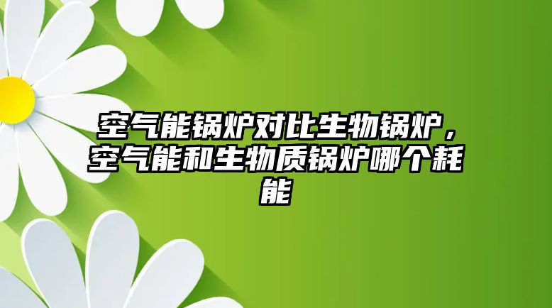 空氣能鍋爐對比生物鍋爐，空氣能和生物質鍋爐哪個耗能