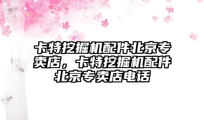 卡特挖掘機配件北京專賣店，卡特挖掘機配件北京專賣店電話