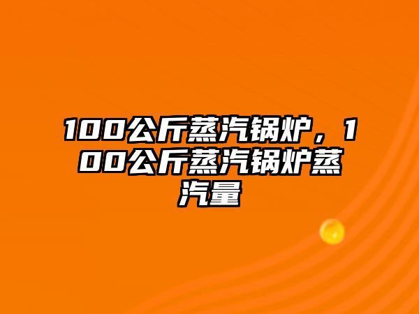 100公斤蒸汽鍋爐，100公斤蒸汽鍋爐蒸汽量