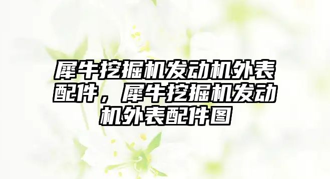 犀牛挖掘機發動機外表配件，犀牛挖掘機發動機外表配件圖