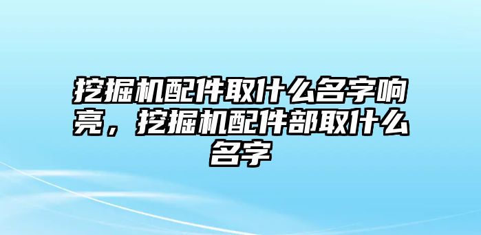 挖掘機配件取什么名字響亮，挖掘機配件部取什么名字