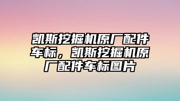 凱斯挖掘機原廠配件車標，凱斯挖掘機原廠配件車標圖片