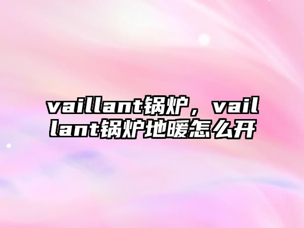 vaillant鍋爐，vaillant鍋爐地暖怎么開