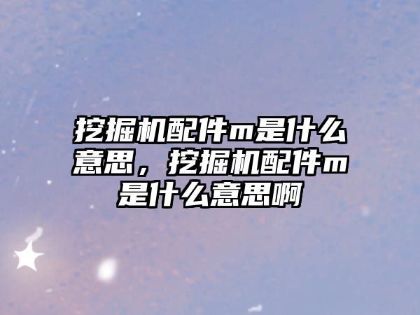 挖掘機配件m是什么意思，挖掘機配件m是什么意思啊