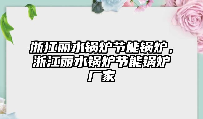 浙江麗水鍋爐節能鍋爐，浙江麗水鍋爐節能鍋爐廠家