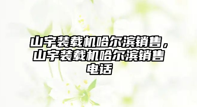 山宇裝載機哈爾濱銷售，山宇裝載機哈爾濱銷售電話