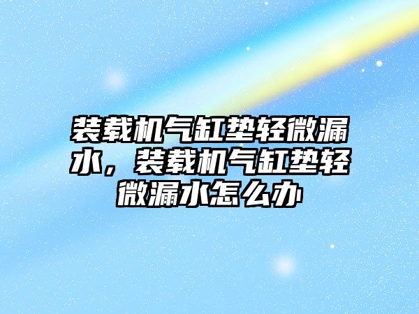 裝載機氣缸墊輕微漏水，裝載機氣缸墊輕微漏水怎么辦