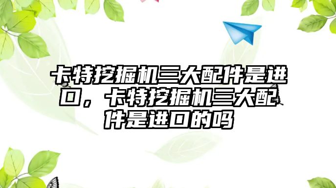 卡特挖掘機三大配件是進口，卡特挖掘機三大配件是進口的嗎