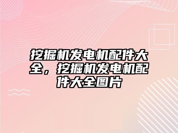 挖掘機發電機配件大全，挖掘機發電機配件大全圖片