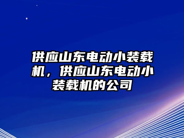 供應山東電動小裝載機，供應山東電動小裝載機的公司