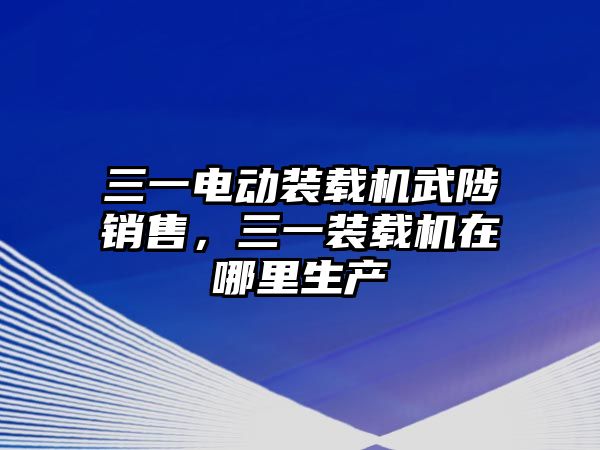 三一電動裝載機(jī)武陟銷售，三一裝載機(jī)在哪里生產(chǎn)