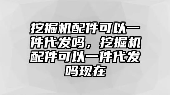 挖掘機配件可以一件代發(fā)嗎，挖掘機配件可以一件代發(fā)嗎現(xiàn)在