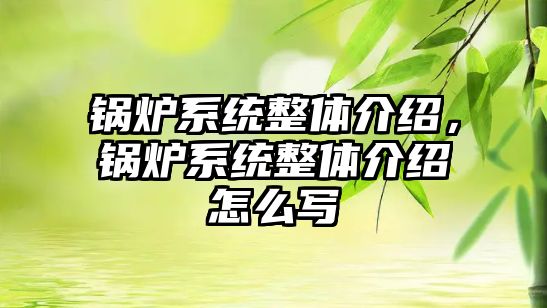 鍋爐系統整體介紹，鍋爐系統整體介紹怎么寫