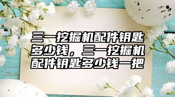 三一挖掘機配件鑰匙多少錢，三一挖掘機配件鑰匙多少錢一把