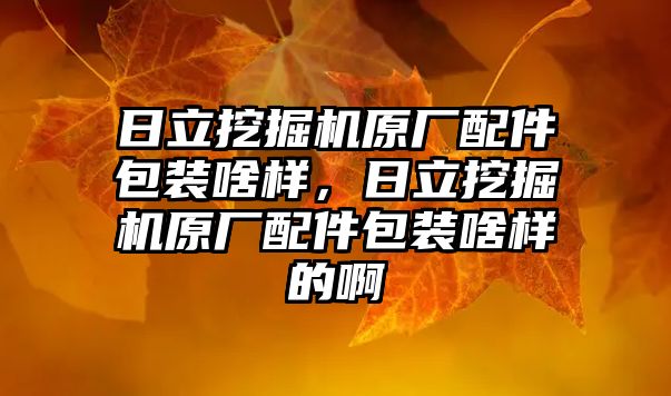 日立挖掘機原廠配件包裝啥樣，日立挖掘機原廠配件包裝啥樣的啊