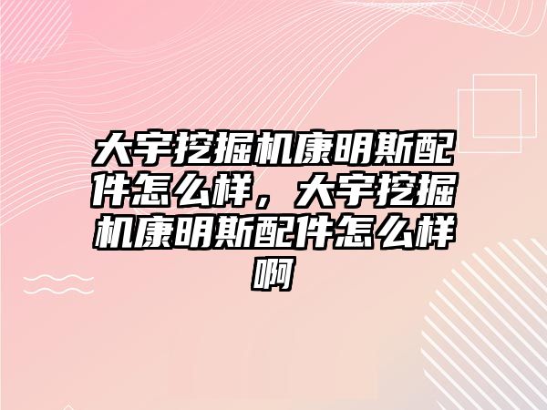 大宇挖掘機康明斯配件怎么樣，大宇挖掘機康明斯配件怎么樣啊