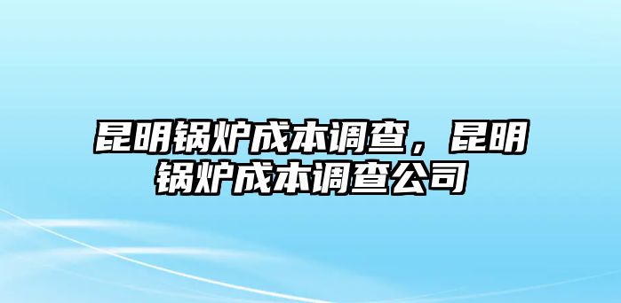 昆明鍋爐成本調查，昆明鍋爐成本調查公司