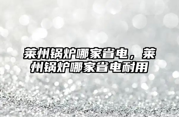 萊州鍋爐哪家省電，萊州鍋爐哪家省電耐用