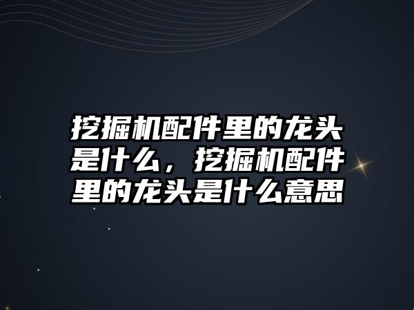 挖掘機(jī)配件里的龍頭是什么，挖掘機(jī)配件里的龍頭是什么意思