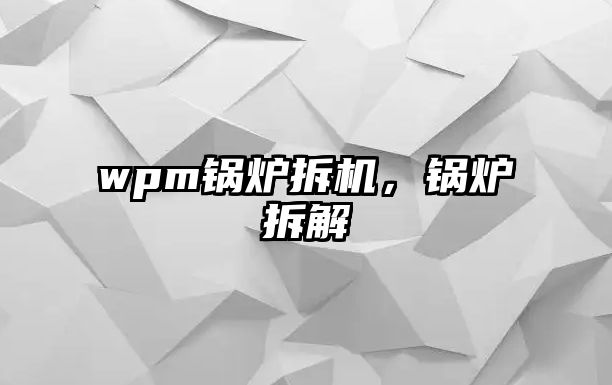 wpm鍋爐拆機，鍋爐拆解