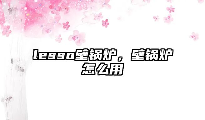 lesso壁鍋爐，壁鍋爐怎么用