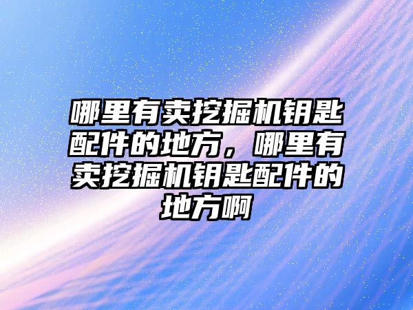 哪里有賣挖掘機鑰匙配件的地方，哪里有賣挖掘機鑰匙配件的地方啊