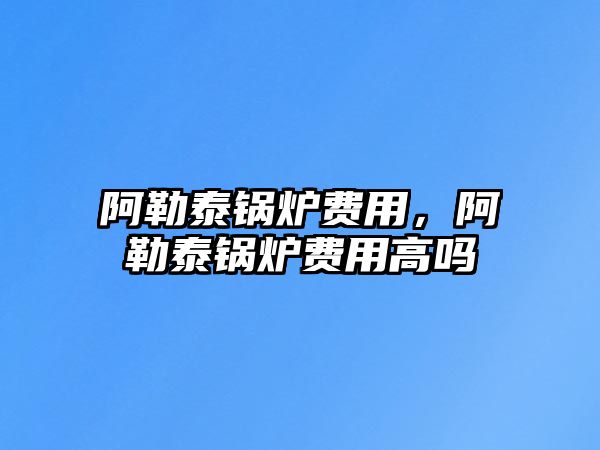 阿勒泰鍋爐費用，阿勒泰鍋爐費用高嗎