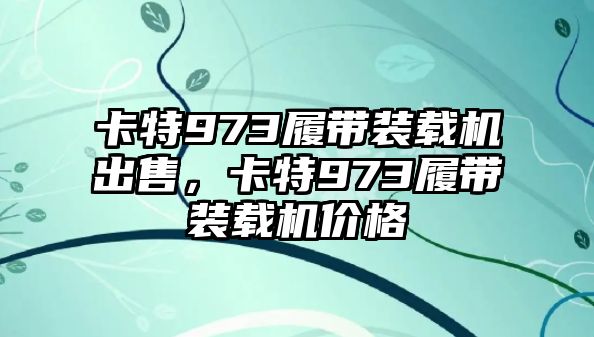 卡特973履帶裝載機出售，卡特973履帶裝載機價格