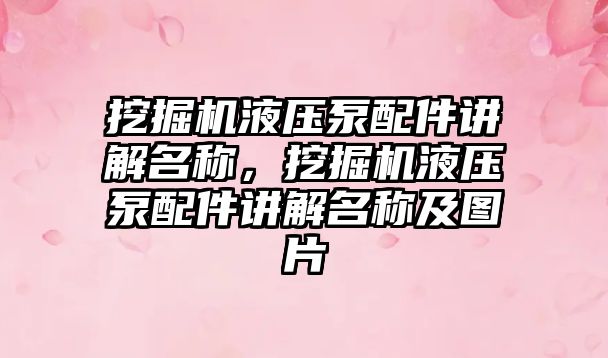 挖掘機液壓泵配件講解名稱，挖掘機液壓泵配件講解名稱及圖片