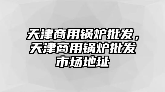 天津商用鍋爐批發，天津商用鍋爐批發市場地址