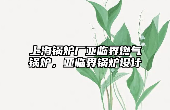 上海鍋爐廠亞臨界燃?xì)忮仩t，亞臨界鍋爐設(shè)計(jì)