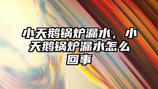 小天鵝鍋爐漏水，小天鵝鍋爐漏水怎么回事