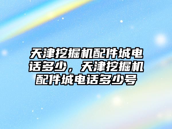 天津挖掘機配件城電話多少，天津挖掘機配件城電話多少號