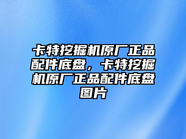 卡特挖掘機原廠正品配件底盤，卡特挖掘機原廠正品配件底盤圖片