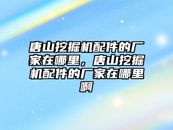 唐山挖掘機配件的廠家在哪里，唐山挖掘機配件的廠家在哪里啊