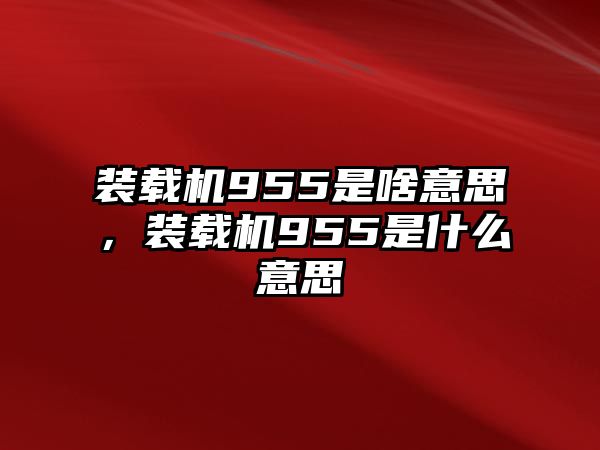 裝載機955是啥意思，裝載機955是什么意思