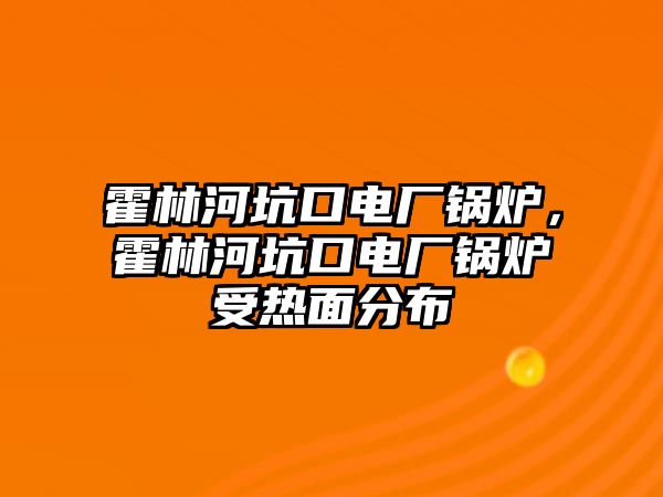 霍林河坑口電廠鍋爐，霍林河坑口電廠鍋爐受熱面分布