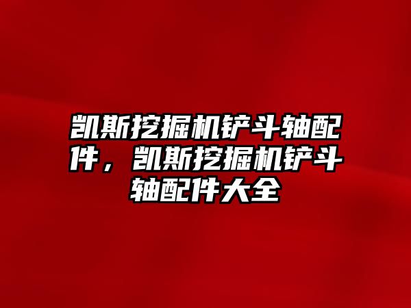 凱斯挖掘機鏟斗軸配件，凱斯挖掘機鏟斗軸配件大全