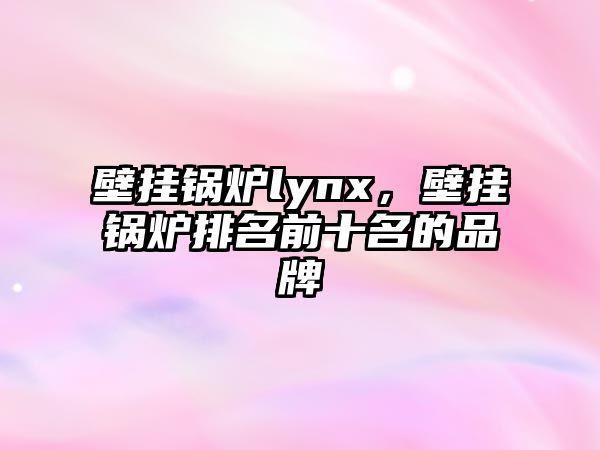 壁掛鍋爐lynx，壁掛鍋爐排名前十名的品牌