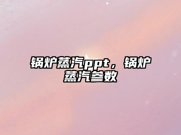 鍋爐蒸汽ppt，鍋爐蒸汽參數