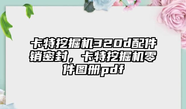 卡特挖掘機(jī)320d配件銷密封，卡特挖掘機(jī)零件圖冊(cè)pdf