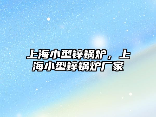 上海小型鋅鍋爐，上海小型鋅鍋爐廠家