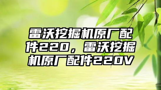 雷沃挖掘機(jī)原廠配件220，雷沃挖掘機(jī)原廠配件220V